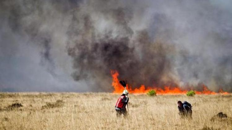 Heidebrand in Nederland verwoest 75 hectare in Drenthe