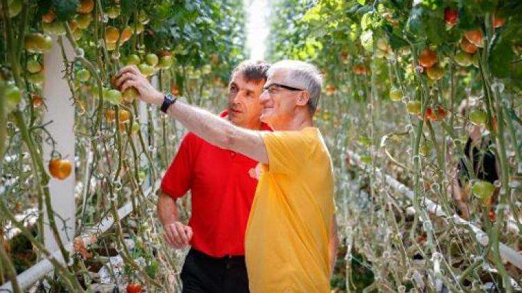 Geert Bourgeois steekt handen uit de mouwen in innovatief tuinbouwbedrijf