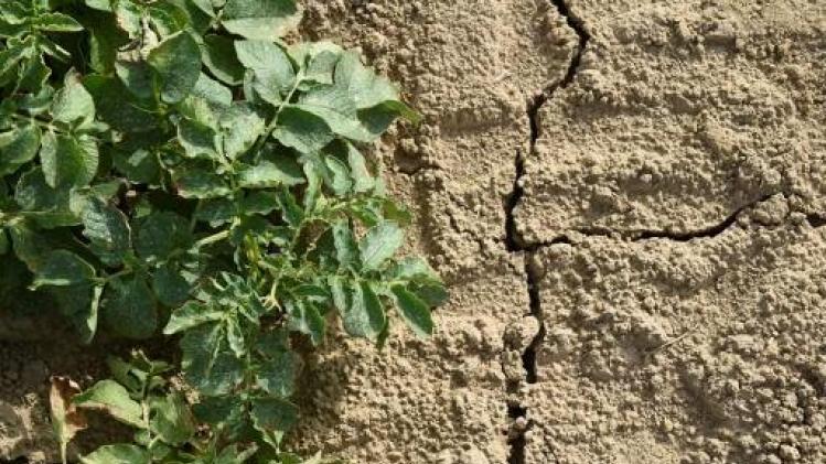 Sproeiverbod blijft gelden