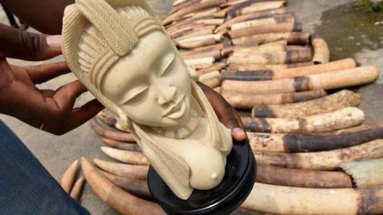 Campagne 'Laat je (slag)tanden zien' haalt meer dan 300 kilo ivoor op
