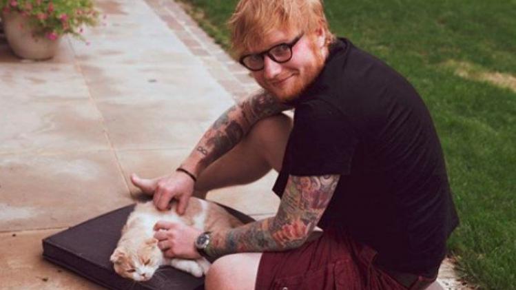 IN BEELD. Ed Sheerans katten hebben eigen Instagramaccount