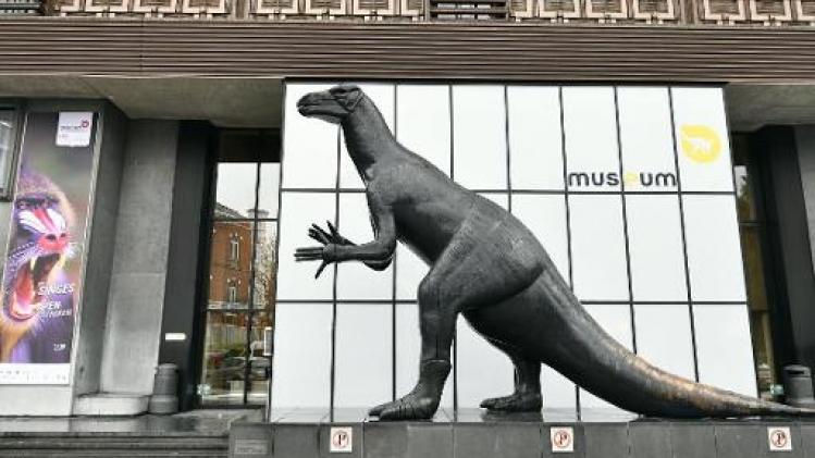 Grote natuurhistorische musea spreken steun uit voor afgebrand Braziliaans museum