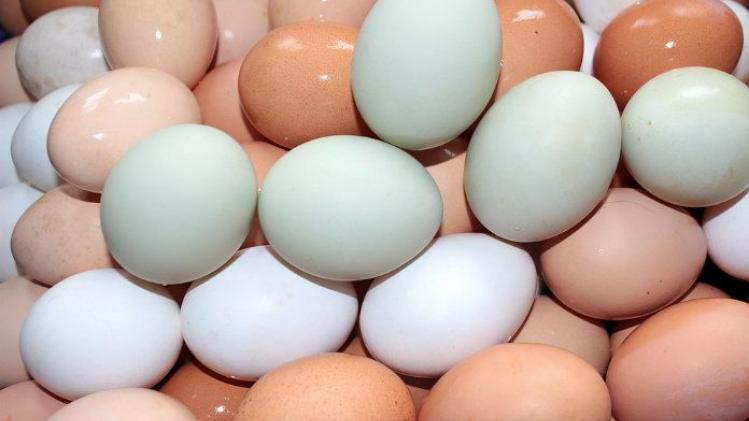 Bruine eitjes niet gezonder dan witte, maar wel duurder