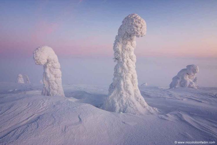 Sentinels-of-the-Arctic.jpg