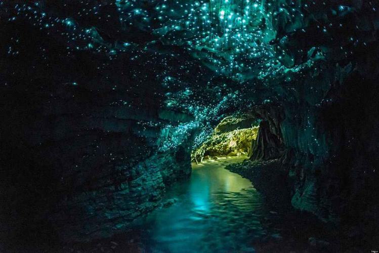 Glowworm-caves.jpg