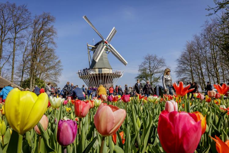 Fotocredit-Keukenhof.jpg