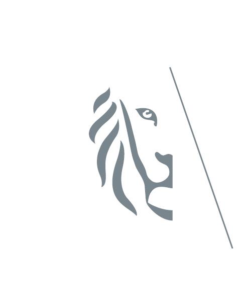 logo-Vlaamse-leeuw.jpg