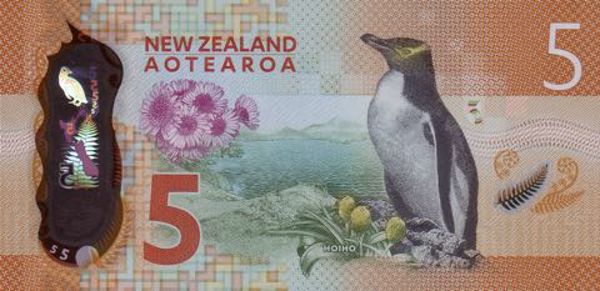 Nieuw-Zeeland-5-achterkant.png