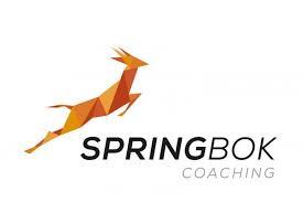 LOGO-Barbara-Torfs-Springbok-coaching-1.jpeg