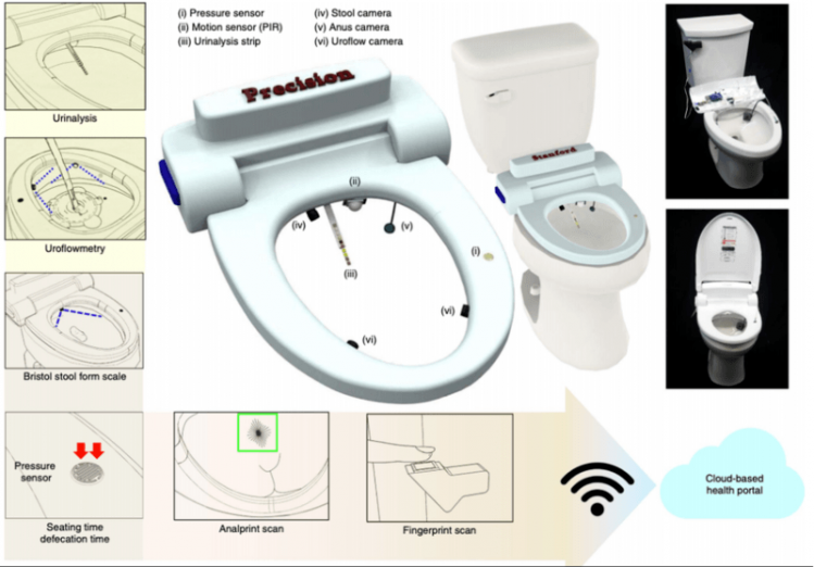 Toilet-scan-anus-Nature.png