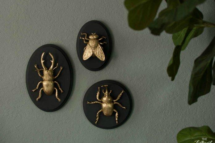 DIY-Gilded-Insect-Entomology-Taxidermy-Plaques.jpg
