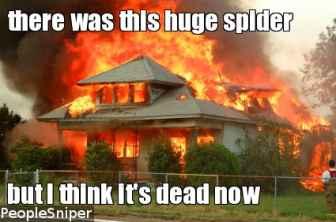 kill-with-fire-spider-people-pic-1356560702.jpg