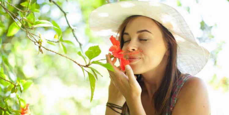 o-SMILING-AND-SMELLING-FLOWERS-facebook-1024x512.jpg