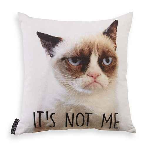 Primark_FW16_Grumpy-Cat-Cushion.jpg