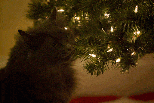 kerstboom_versieren_9.Eyes_on_the_cat.gif