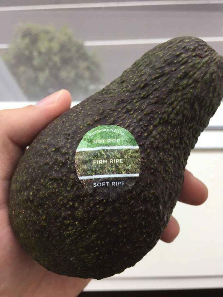 Sticker-avocado.jpg