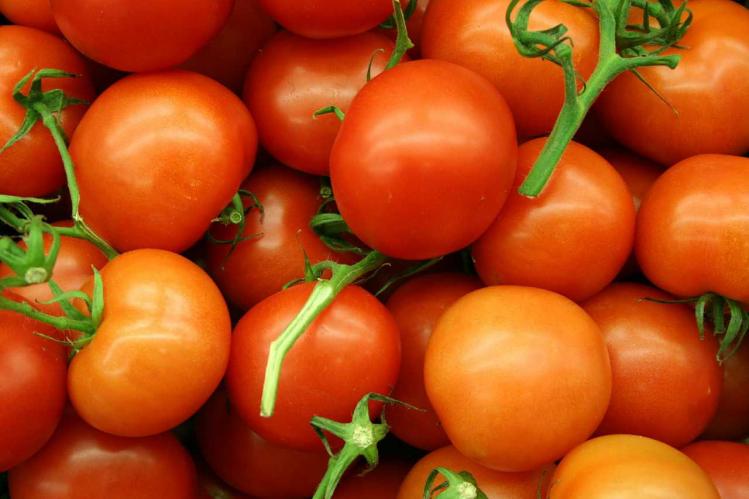 tomatoes-620664_1280.jpg