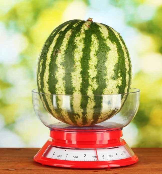 watermeloen-3.jpg