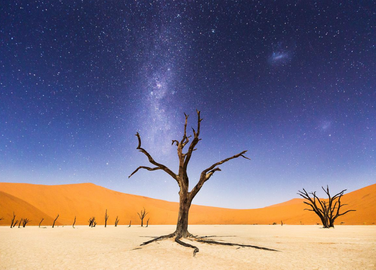 A-night-of-deadvlei.png