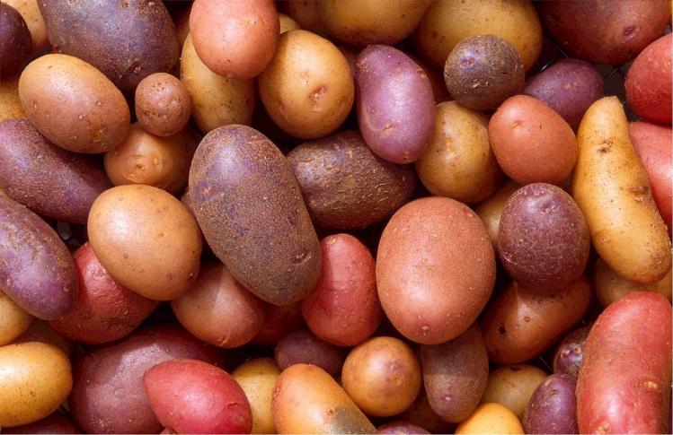 potatoes-522486.jpg