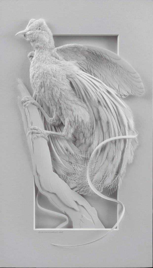 calvin-nicholls-insanely-detailed-paper-art-bird-2.jpg