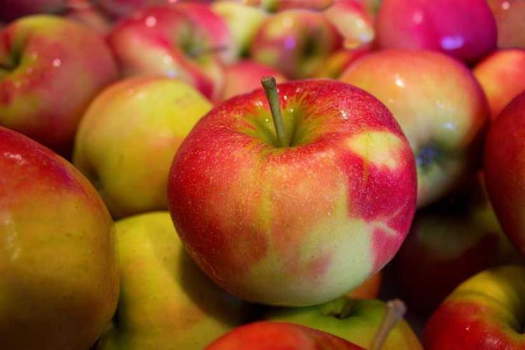 healthy-fruits-health-apples-large.jpg