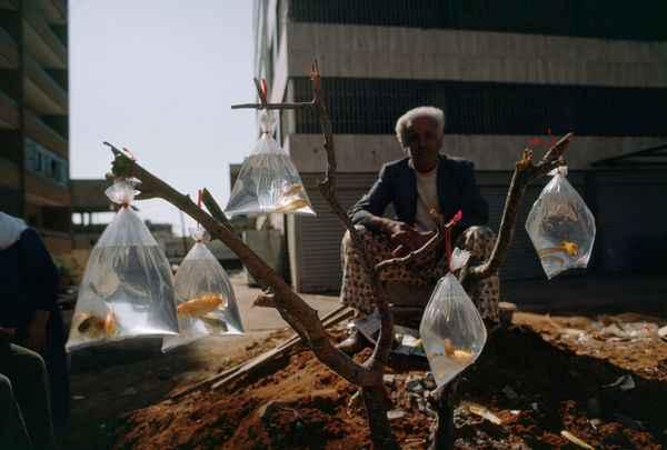 1980-Man-verkoopt-goudvissen-in-zakjes-in-Beirut.jpg
