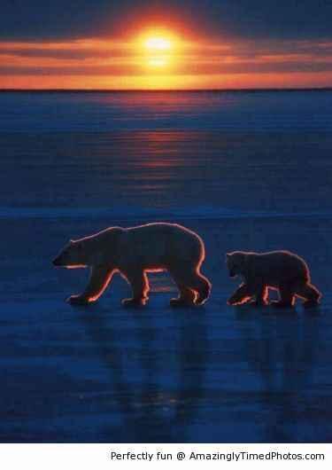 Beautiful-shot-of-Arctic-Sunset-resizecrop-.jpg