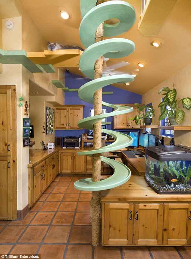 Cat-Paradise-Kitchen.jpg
