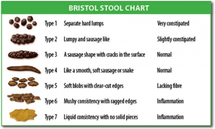 Bristol_stool_chartµ.png