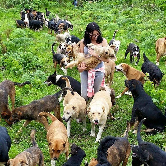 land-of-stray-dogs-territorio-de-zaguates-costa-rica-11.jpg