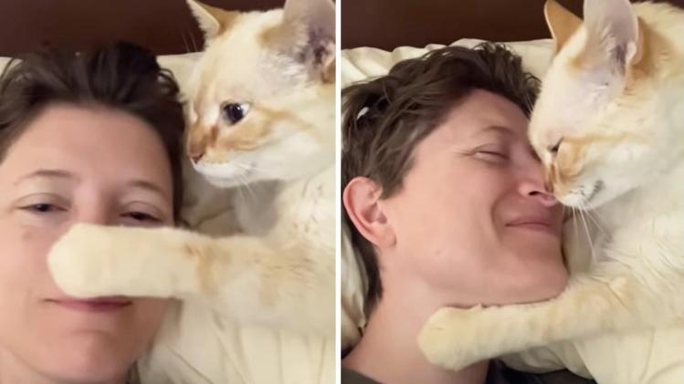 Aanhankelijke kat smeekt om kusjes bij baasje: «Schattigste wat ik ooit gezien heb» (video)