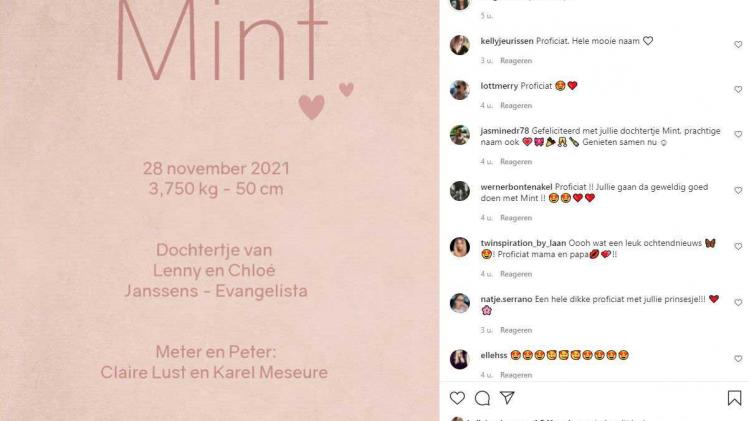 mintfoto