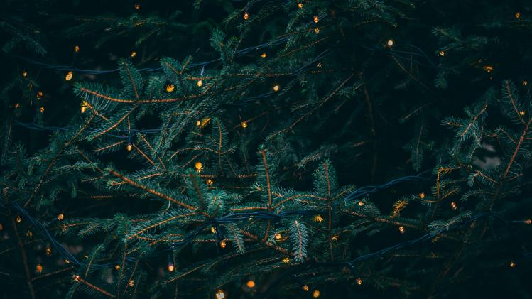 kieran-white-SBdmQcW8qag-unsplash