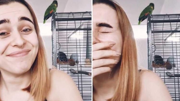HILARISCH! Vrouw schaamt zich dood wanneer papegaai haar seksgeluiden nabootst (video)