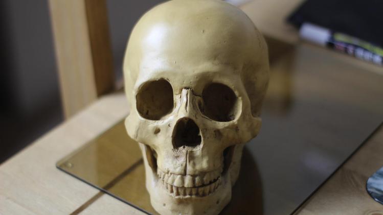 replica-skull-ge226c82ad_1920