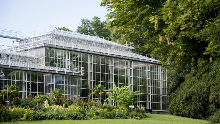 Belgische botanische tuinen en arboreta bundelen collecties op online platform