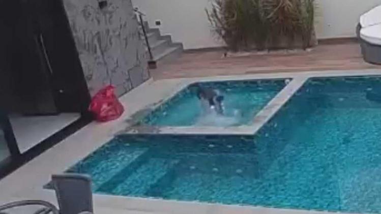 Kat valt in zwembad en dat zorgt voor behoorlijk wat paniek: «Hilarisch!» (video)