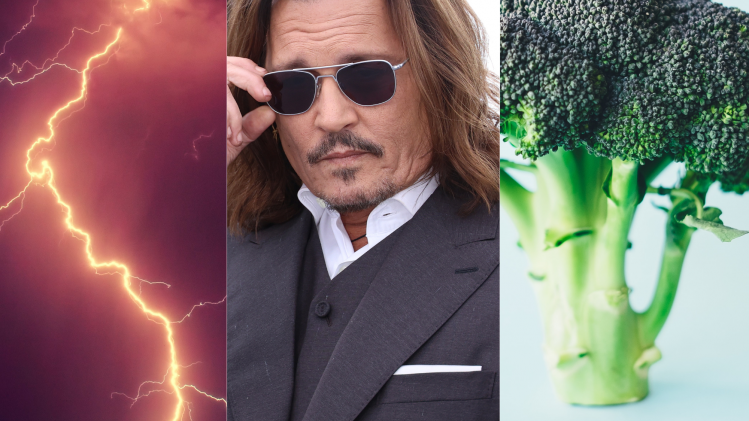 Ontwerp zonder titel (25)