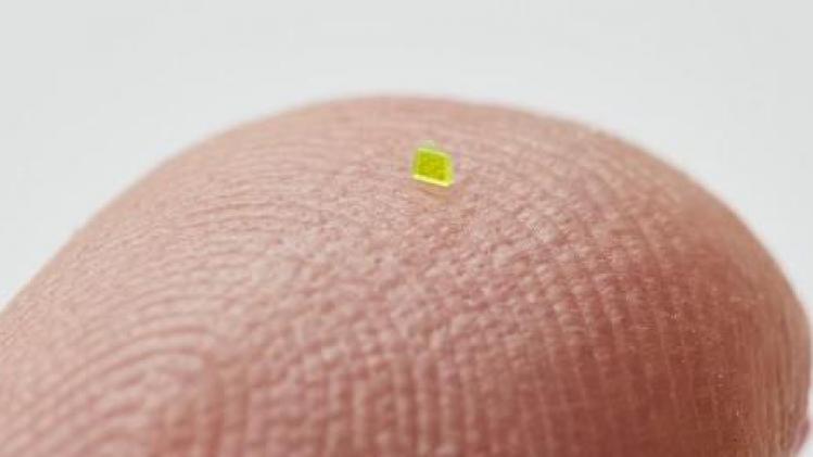 Schermafbeelding 2023-06-16 110137