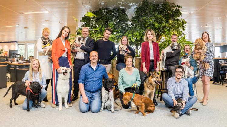 0008-alohafred(HD)-729A1549-Pano