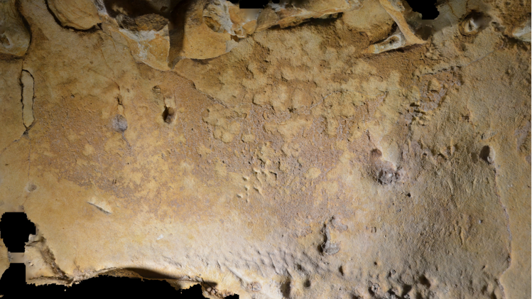 journal.pone.0286568.g014