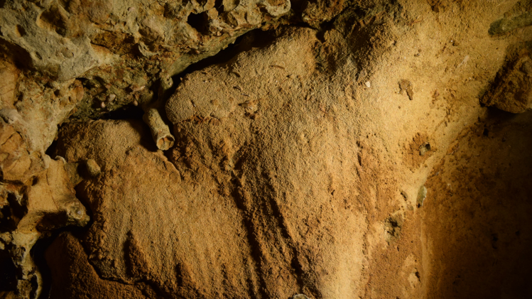 journal.pone.0286568.g013