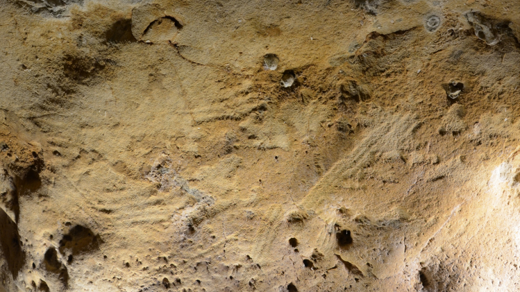 journal.pone.0286568.g010