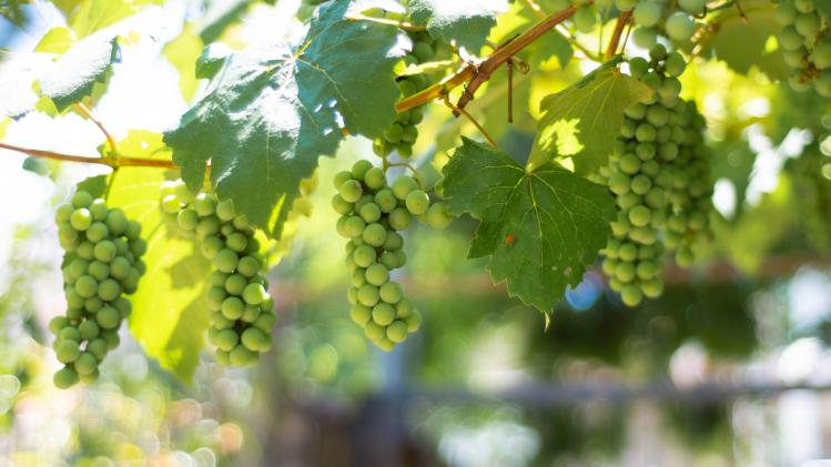 lucas-george-wendt-hEi7bnrhX58-unsplash