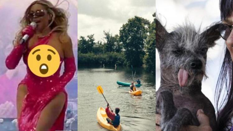 Collage Maker-26-Jun-2023-01-47-PM-3733