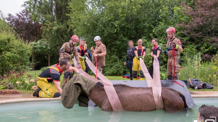 357427096_6933376343373113_1010960194779257114_n