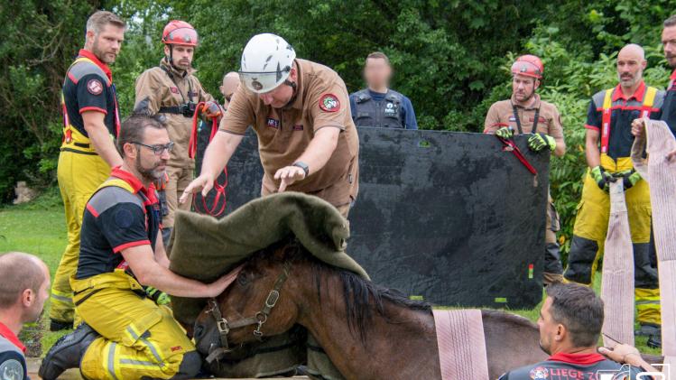 357719274_6933375030039911_5828499113689634313_n