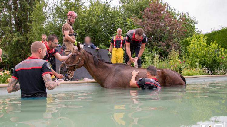 357390385_6933376833373064_4432238812486897446_n