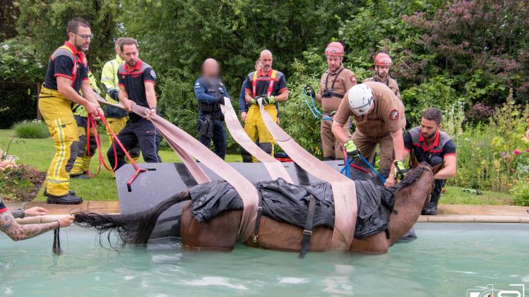 357353785_6933376036706477_2246595893568863382_n